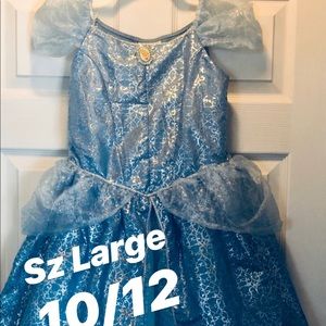 Disney Princess Dress - Cinderella